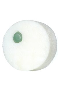 DSF5954-2.jpg