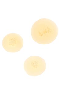 QUEEN OIL – 1@2x
