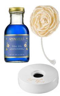 blue-iris-2.jpg
