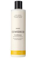 boost-conditioner.jpg