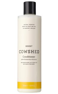boost-conditioner.jpg