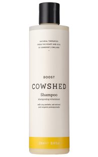 boost-shampoo.jpg