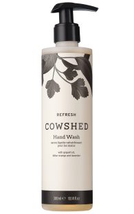 refresh-hand-wash-300ml.jpg