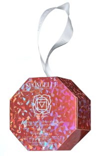 spongelle-chakra_0005_Layer-2-copy-4.jpg